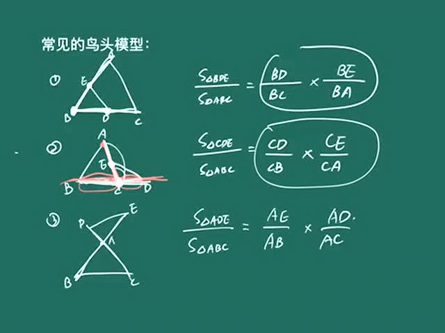 第11讲 鸟头模型