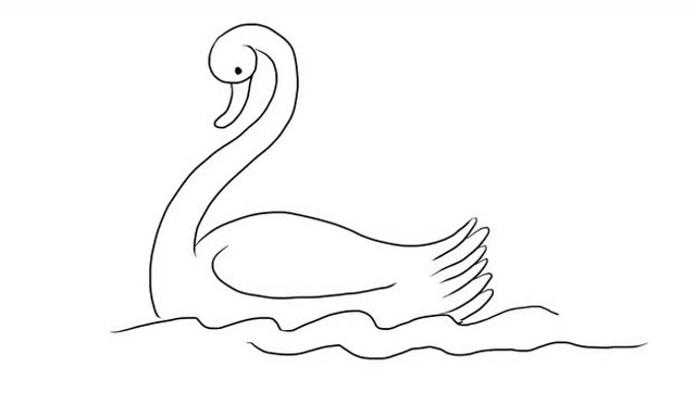 水里游的白天鹅儿童亲子简笔画