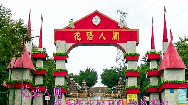 玩味自贡 花语人间郁金香嘉年华