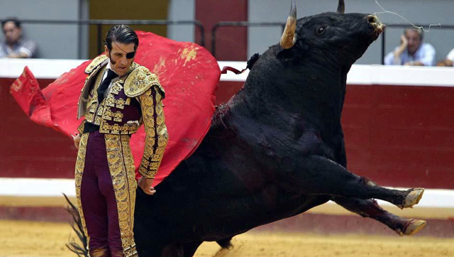 斗牛士近身斗牛,衣服都沾上牛儿留下的血,下一刻命运可想而知!