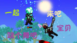 泰拉瑞亚 terraria 汉化版MOD 159法师学徒之魂