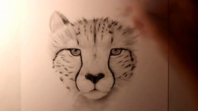 简笔画 五分钟画一个雪豹 萌萌哒超级可爱by墨纸一笔绘雪名