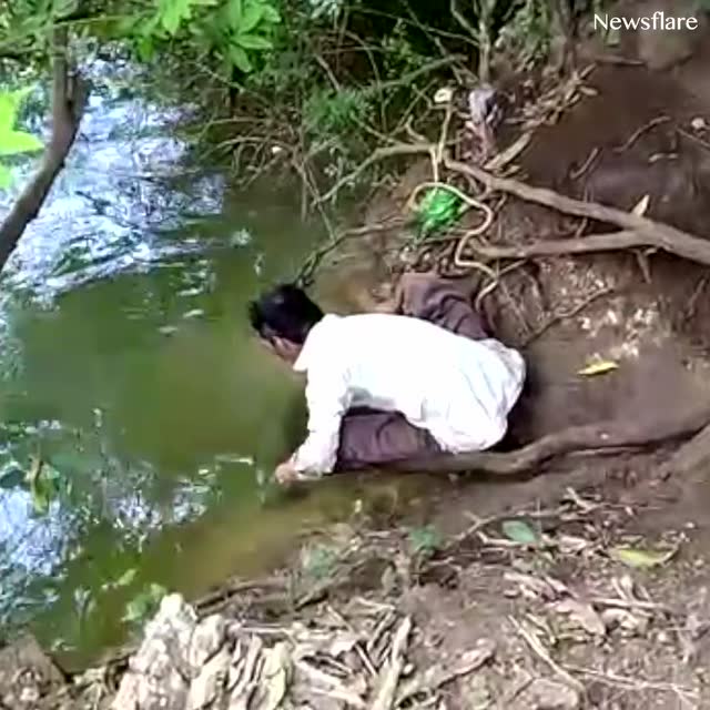 超感人视频合辑：当动物遇见它们最爱的人