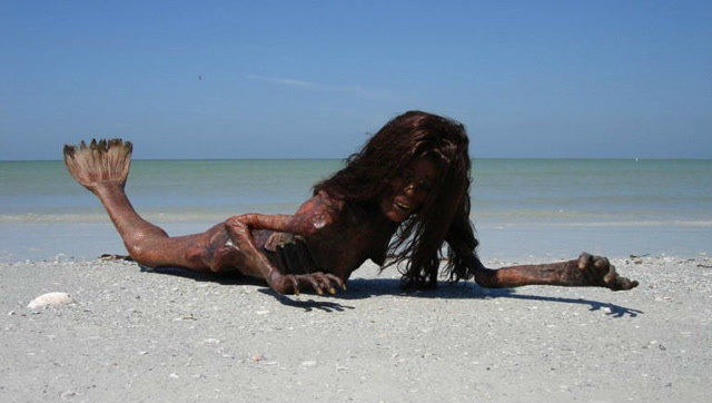 世界上真的存在美人鱼吗?科学家:曾亲眼见过,也有化石为证.