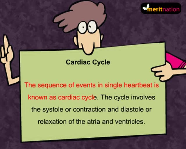 how your heart works - cardiac cycle