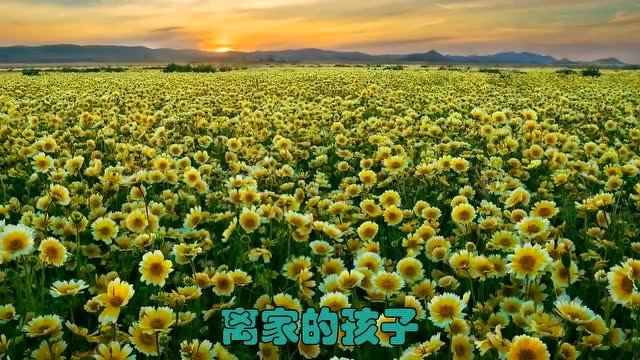 卓依婷一首经典歌《离家的孩子》,声线优美,娓娓动听