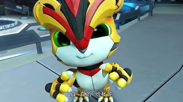 猪猪侠之超星萌宠:阿五说再美味的东西,都不能吃太多啊