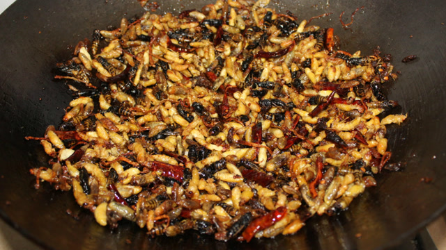 蜂虫这样简单一炒,又是一道不错的下酒菜,上桌又多喝了两杯