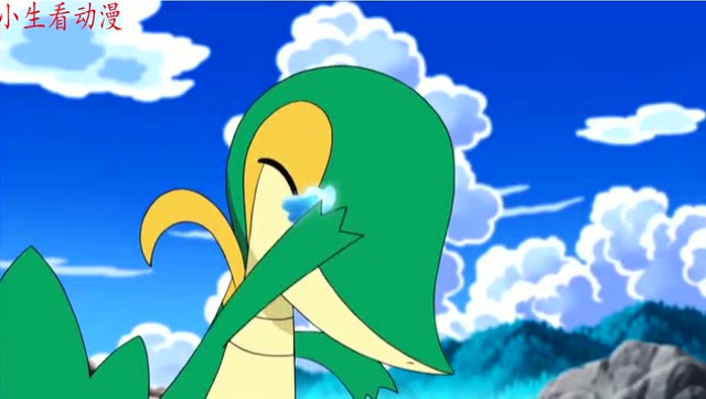 神奇宝贝:小智再战最强藤藤蛇!水水獭再次抢位皮卡丘!
