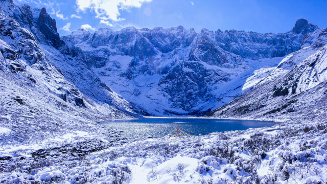 莲宝叶则醉美雪景