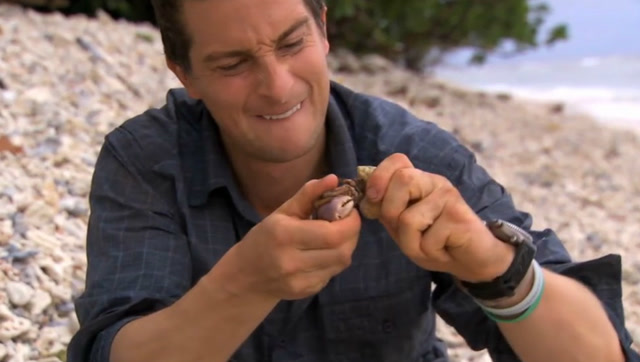 贝爷真懂吃啊,那么多寄居蟹,只收集蟹钳烤了吃!