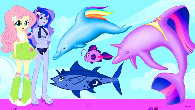 萌!假如小马宝莉4大主角变成了可爱小海豚,那画面会是怎样呢?