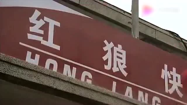 马学军的红狼快递步入正轨,看来东山再起,有望了