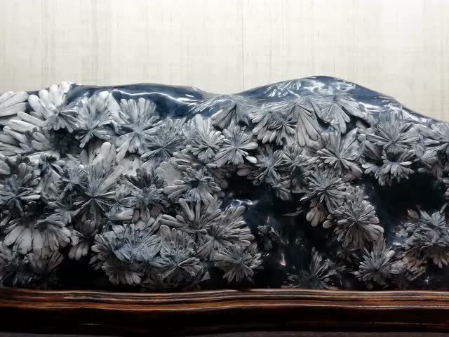 陈继武菊花石馆