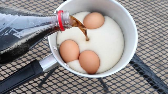 鸡蛋可乐实验图片