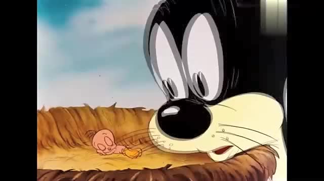 兔八哥:猫上树抓小鸟,这猫居然还会飞?结果太搞笑了