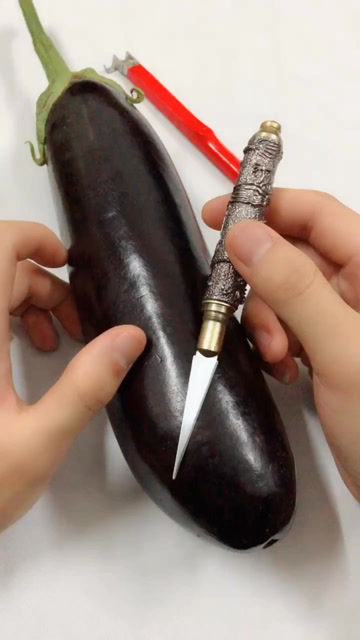 挑战史上最长茄子,这样的茄子你想要吗