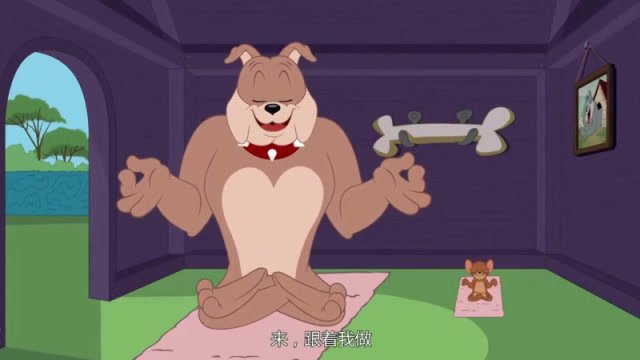 新猫和老鼠:狗教杰瑞练瑜伽,汤姆不爱吃猫食,盯着鸟蛋垂涎三尺