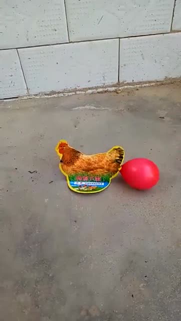 小鸡小鸡咯咯哒一段烟花表演后小母鸡生了个红色的蛋