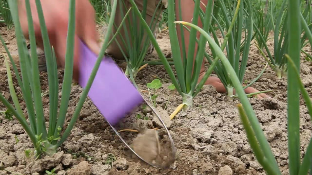 牛人小哥发明除草神器,一天除草3亩地,成本不到2块钱