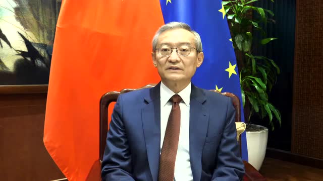 张明大使接受新华社采访3