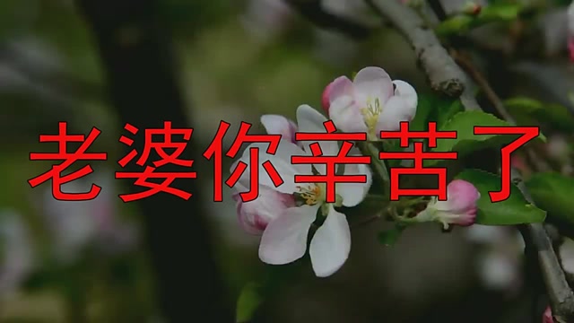 祁隆一曲《老婆你辛苦了》,送给自己也送给你!