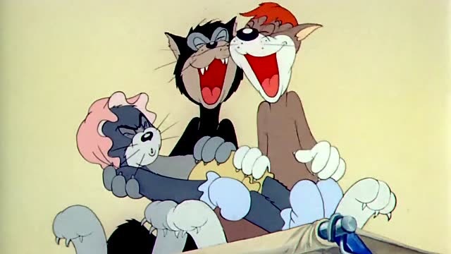 猫和老鼠:汤姆被野猫们欺负变成小宝宝任猫宰割