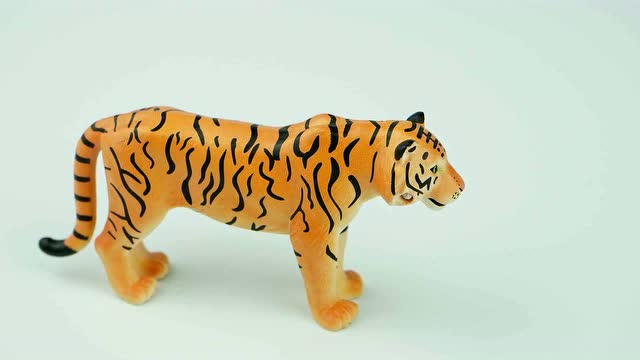 【多多玩具世界】第24期 安利亚as-05 老虎