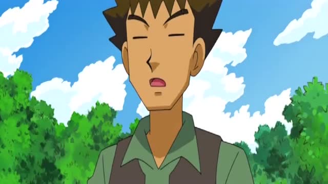 神奇宝贝,小刚看见了传说中的神兽,而小智刚好不在身边