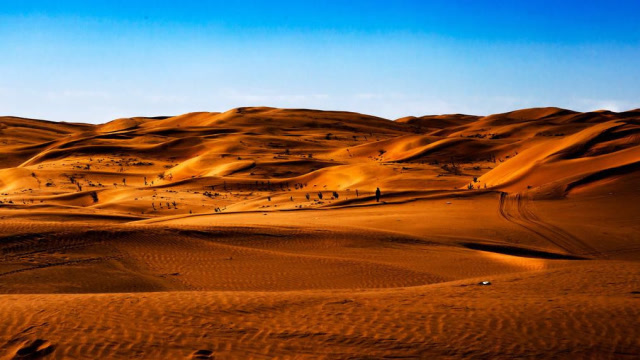 我国沙漠中建粮仓,耗资近50000亿,一举多得有效利用沙漠环境!