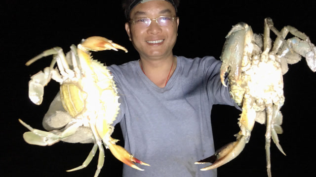 晚上退潮螃蟹泛滥,又大又生猛到处爬,巴掌大独脚蟹,抓得真过瘾