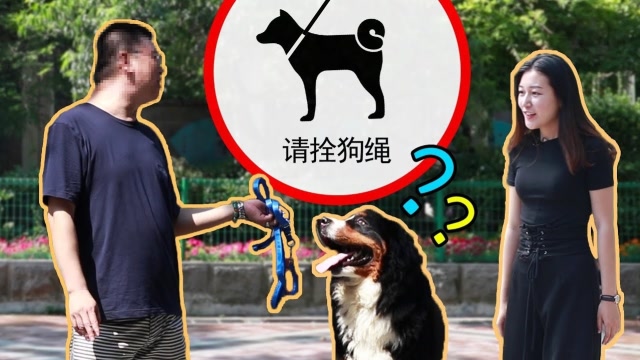 养狗必办证,遛狗必栓绳,遭到很多爱狗人士抵制,你支持吗?