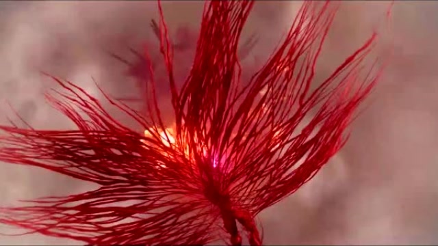 奇门遁甲:冰凤凰独战白虎赤目,凤凰不愧是妖王,实力碾压