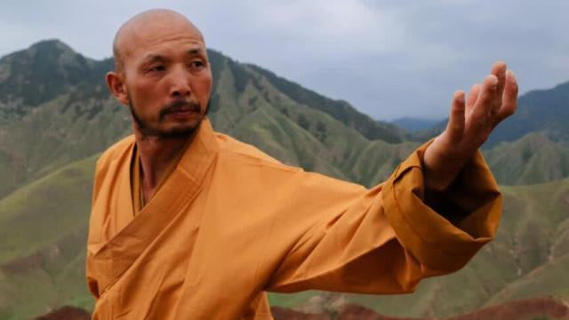 美国吐槽少林功夫是花拳绣腿高僧释延一掌出去空气瞬间凝固