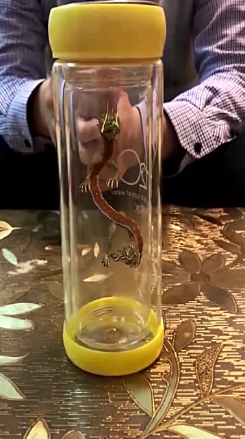 这是只吐火蜈蚣吗?