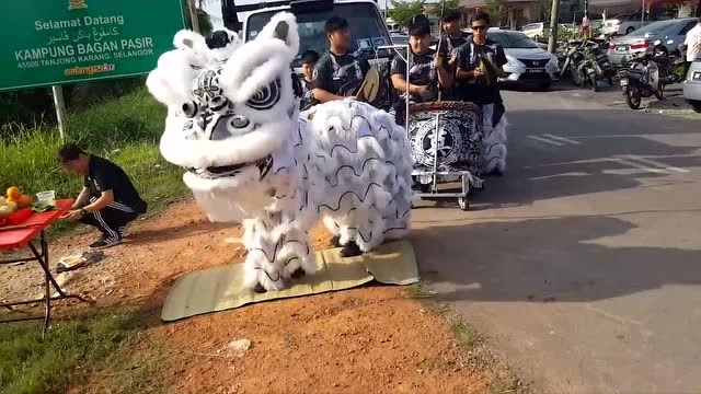 舞狮表演:白色狮子简称孝狮