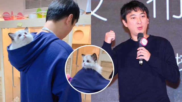 王思聪家中再添新宠"布偶猫",表情呆萌可爱王可可或将失宠