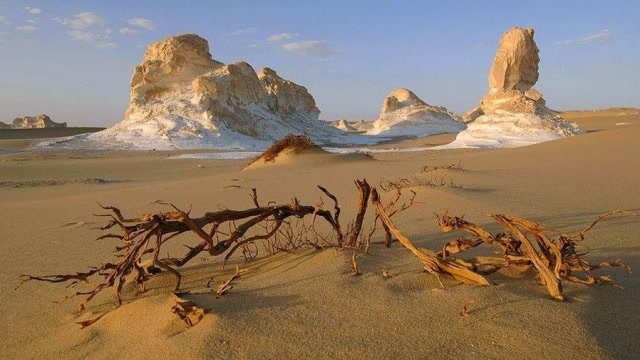 如果把沙漠的沙子都挖走,沙漠底下有什么东西?今天长见识了