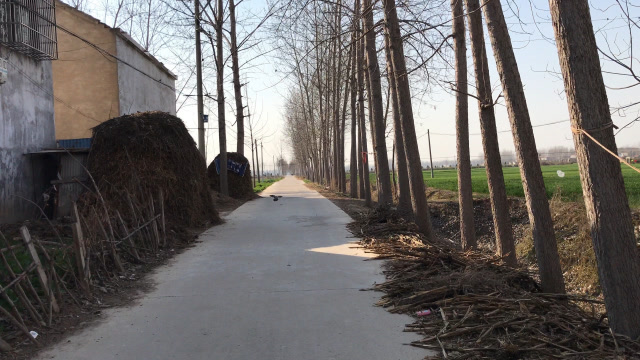 实拍河南商丘农村老家风光,浓浓的家乡味,看着看着想家了