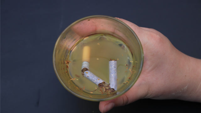 香烟放进开水里泡一泡,在生活中有很多的妙用,家家都需要