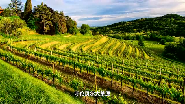 2019唱响山西1512号程彦杰《呼伦贝尔大草原》