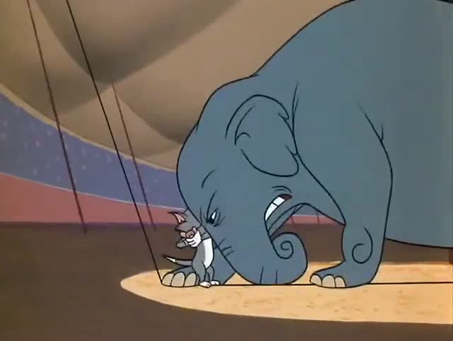 猫和老鼠:杰瑞有了靠山,大象一直保护他,汤姆被打了好几次