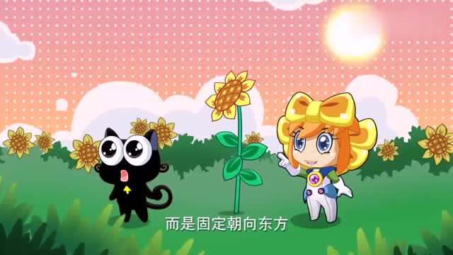 木奇灵黑猫很疑惑不懂为什么向日葵向太阳开花小葵告诉了他