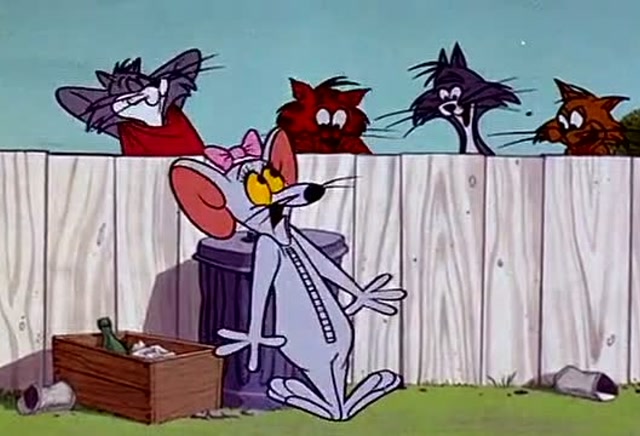 猫和老鼠,汤姆刚躲过一群老鼠,竟然又来了一群猫追赶