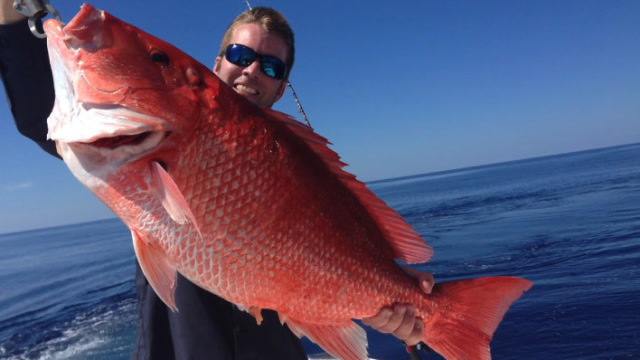 美国男子捕获"红色血鱼",疑似外星物种入侵,长相怪异令人肝颤