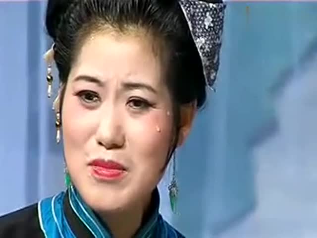 庐剧《鸳鸯泪》选段,魏晓波汪莉精彩演唱,听哭