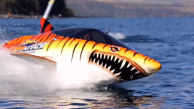 新西兰皇后镇鲨鱼快艇体验