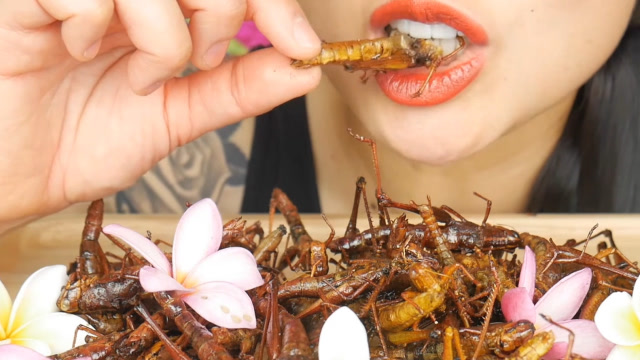 香脆的油炸蚂蚱你敢吃吗?外国小姐姐挑战吃一盘,一口下去嘎嘣脆