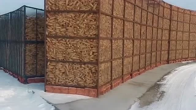 这些储存玉米的架子在我们村里形成了一道美丽的风景线长见识了