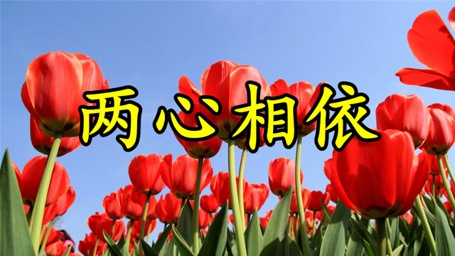 情歌:《两心相依》我要时刻把你来珍惜,直到白首也始终如一